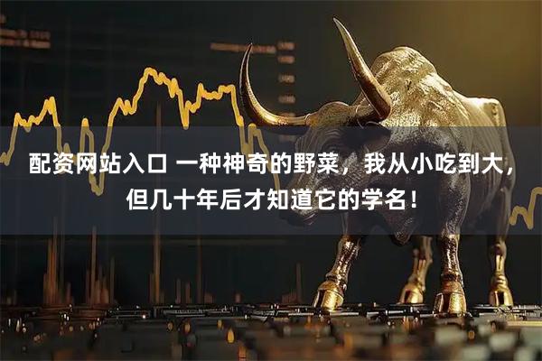 配资网站入口 一种神奇的野菜，我从小吃到大，但几十年后才知道它的学名！